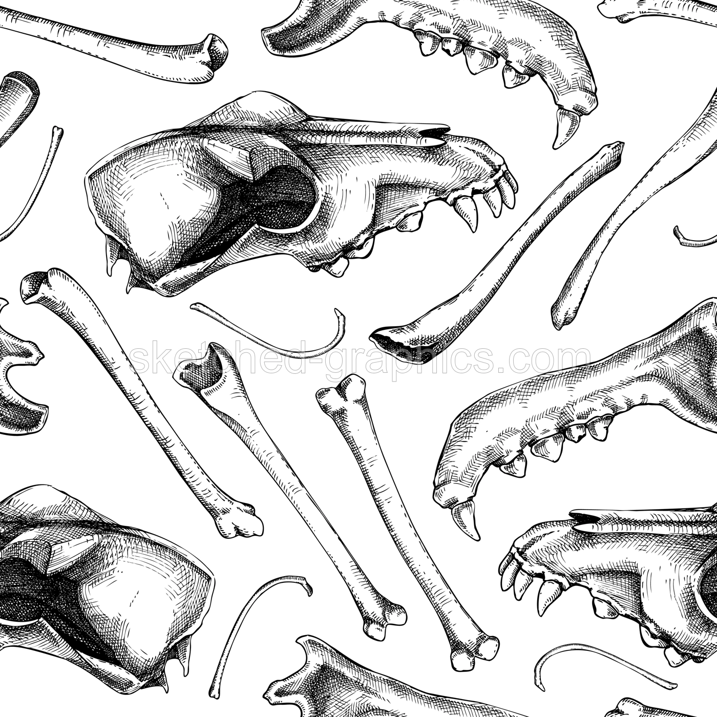 Halloween seamless pattern. Animal bones, sculls parts sketches. Skeleton vector illustration. Vintage design for witchcraft, alchemy, magic, Halloween decoration. Spooky background in retro style Illustration